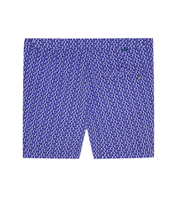 Saline Sport Arches Purple - Barthelemy