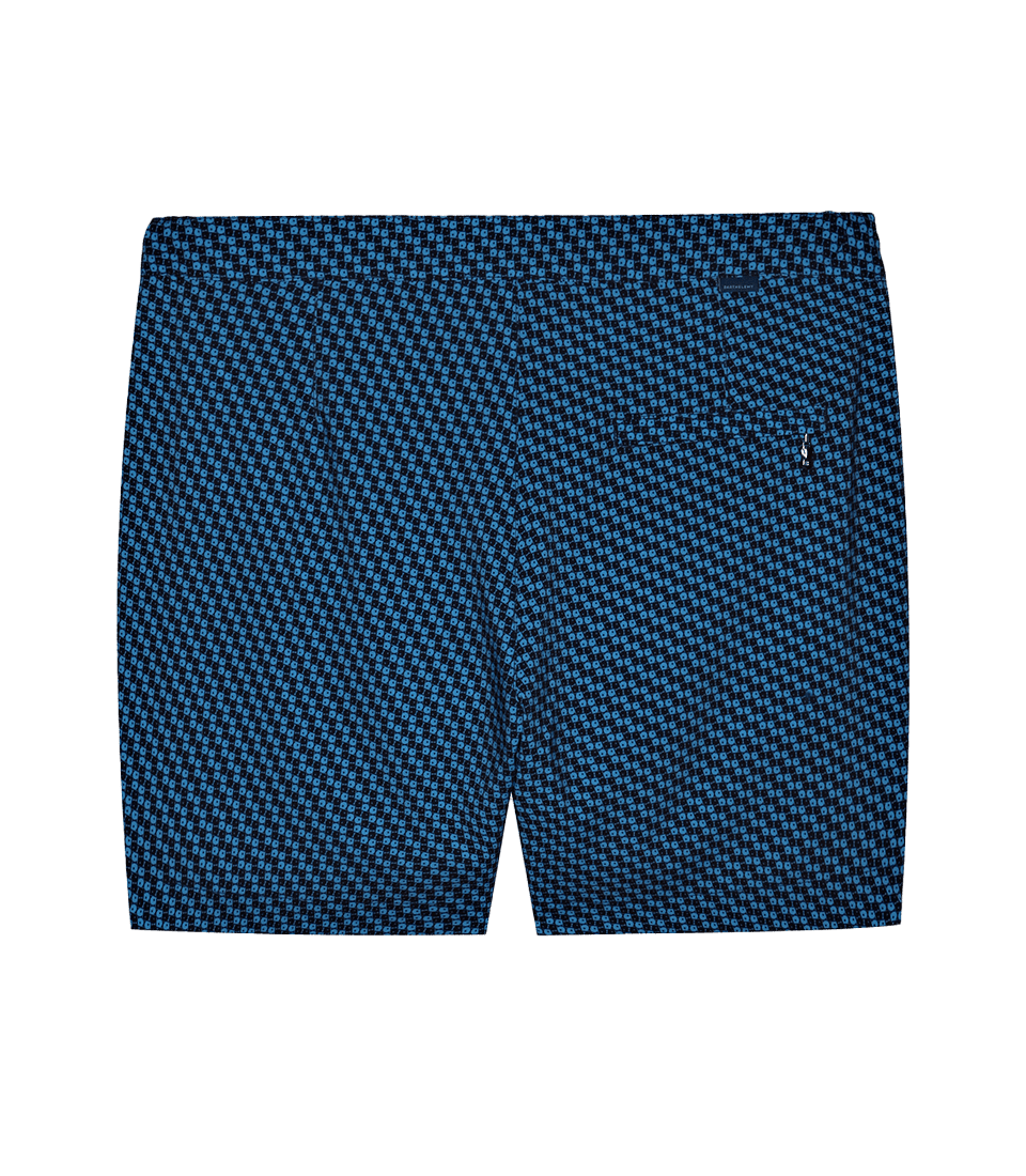 Gustavia Poissons Double Blue - Barthelemy