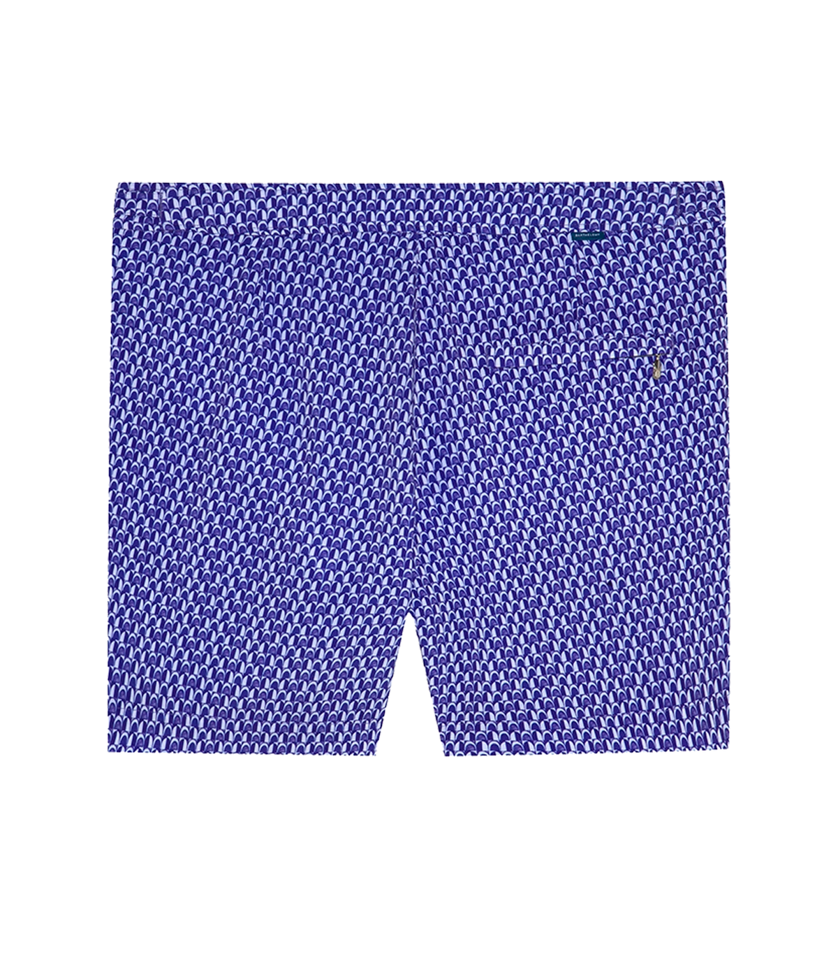 Saline Sport Arches Purple - Barthelemy