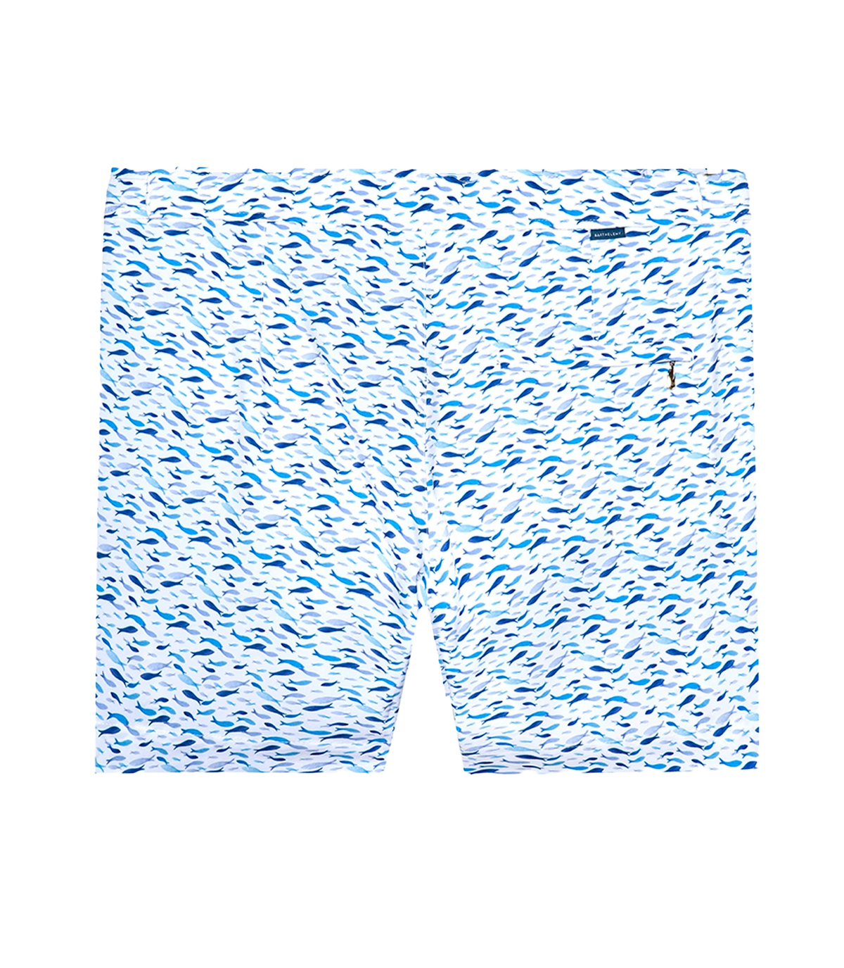 Saline Sport Océan White Blue - Barthelemy