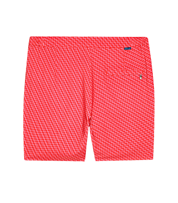 Gustavia Poissons Coral - Barthelemy